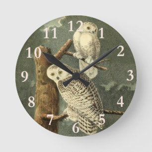 Horloge Ronde OEuvre d'OEuf Audubon