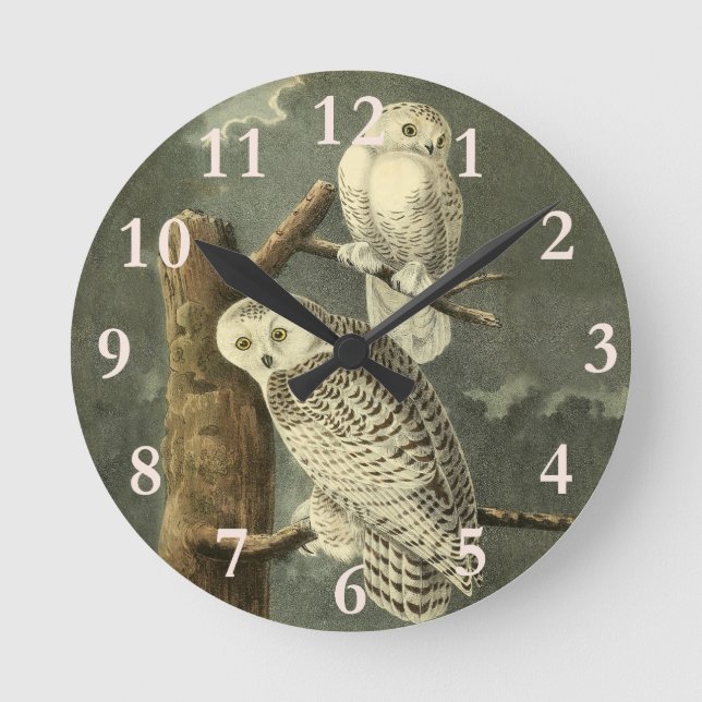 Horloge Ronde OEuvre d'OEuf Audubon (Recto)