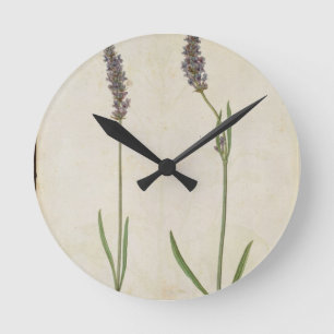 Horloge Ronde Officinalis de Lavandula (vieille lavande