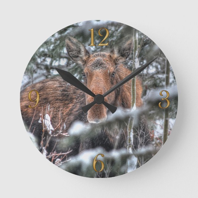 Horloge Ronde Oie canadienne sauvage en forêt d'hiver (Recto)