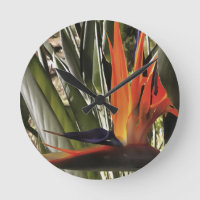 Oiseau du Paradis Strelitzia Reginae Acrylique Pai