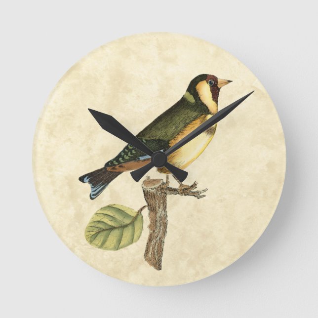Horloge Ronde Oiseau jaune et vert été perché sur une petite (Recto)