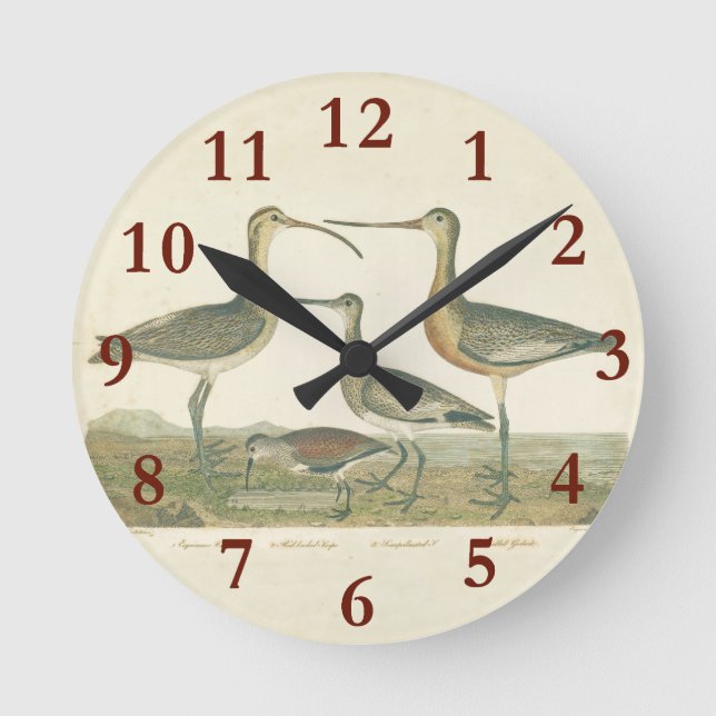 Horloge Ronde Oiseaux de marais Courlis Oiseaux (Recto)