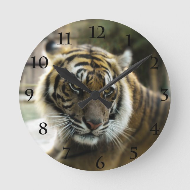 Horloge Ronde Orange à rayures noires Bengale photo tigre (Recto)