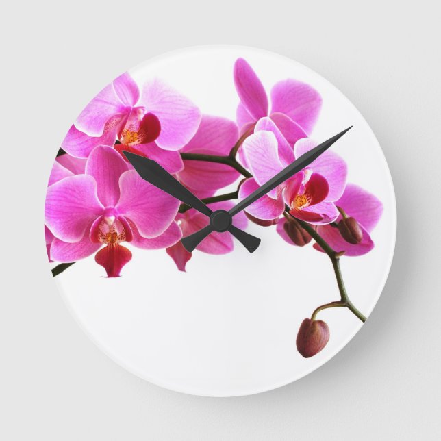 Horloge Ronde Orchidée (Recto)