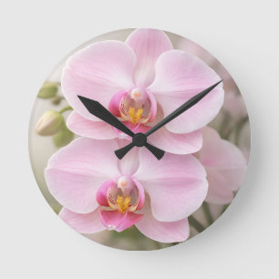 Horloge Ronde Orchidée Phalaenopsis Rose Tendre