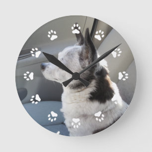 Horloge Ronde Oreo Colored Chihuahua Clock