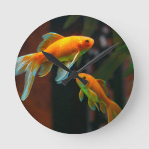 Horloge Ronde Paire de Lucky Goldfish