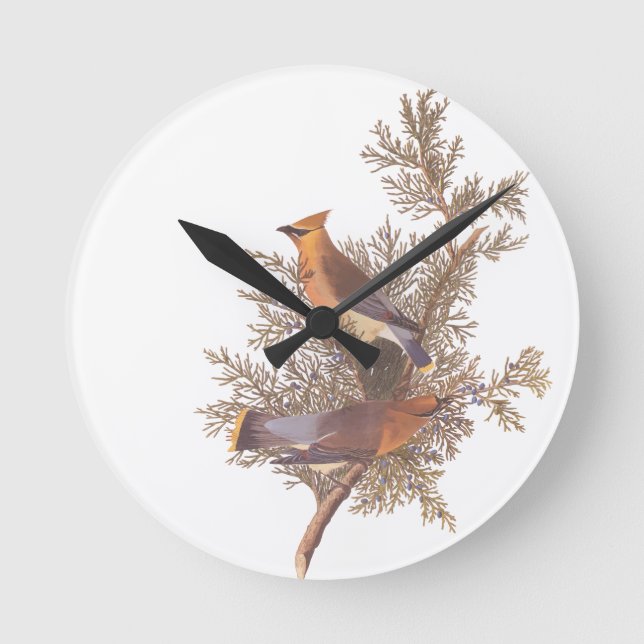 Horloge Ronde Paires d'oiseau de jaseur de cèdre d'Audubon sur (Recto)