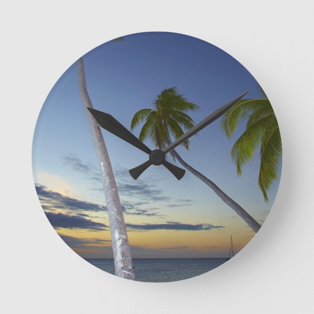 Horloge Ronde Palm trees and sunset, Plantation Island (Recto)
