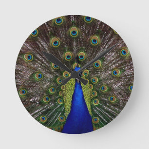 Horloge Ronde Paon