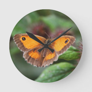 Horloge Ronde Papillon