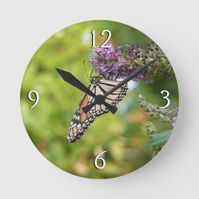 Horloge Ronde Papillon Monarque sur papillon pourpre Bush (Recto)