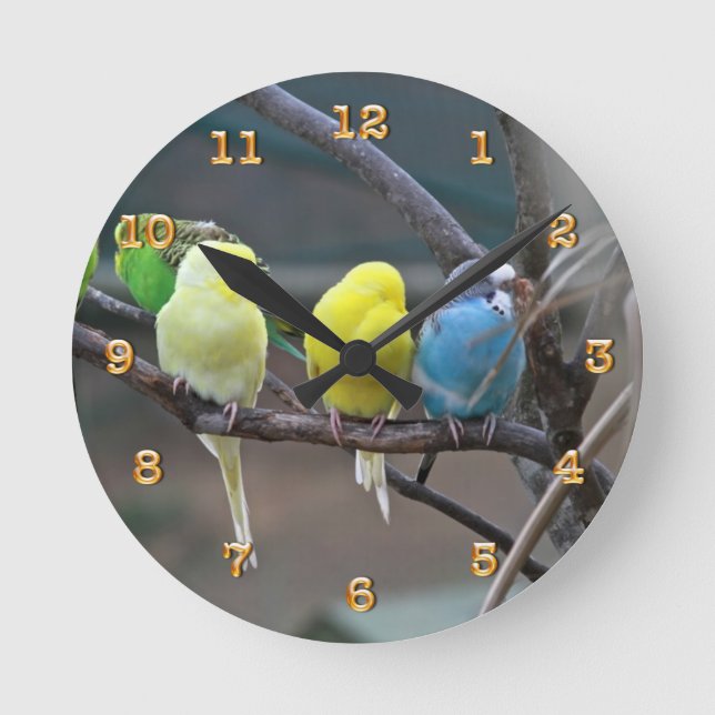 Horloge Ronde Parakeets Budgie | Birds Photo Nature (Recto)