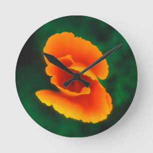 Horloge Ronde Pavot de Californie
