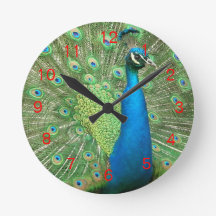 Peacock Strut