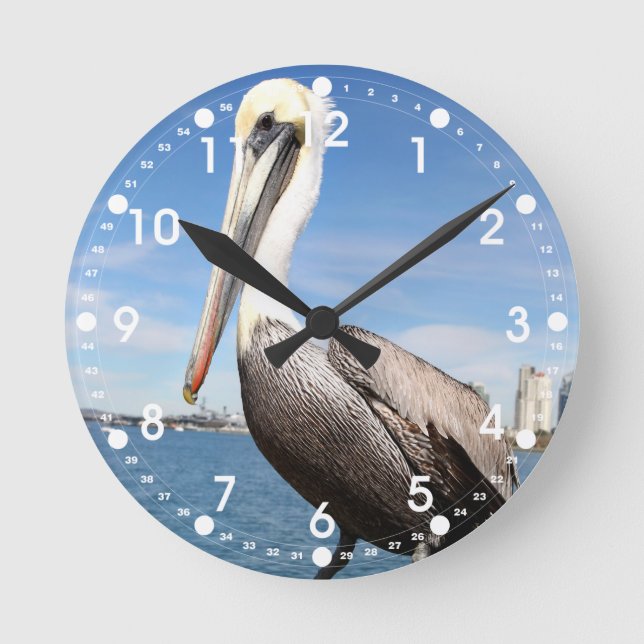 Horloge Ronde Pélican (Recto)