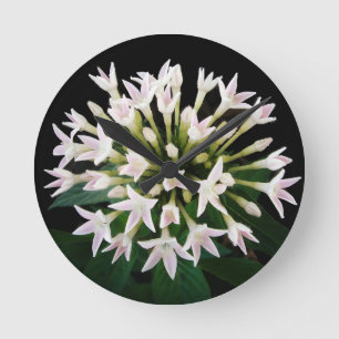 Horloge Ronde Pentas blancs