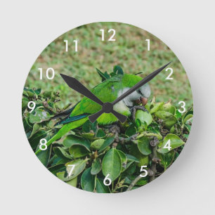 Horloge Ronde Perroquet vert