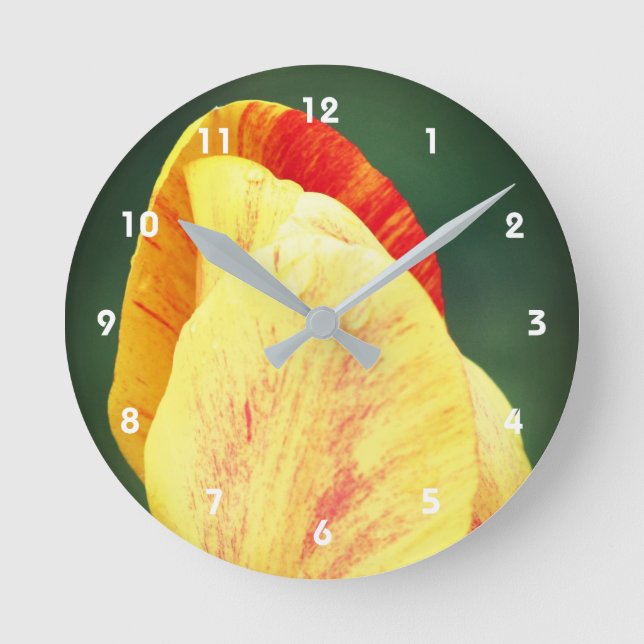 Horloge Ronde Pétales De Fleurs Tulipes Avec Arroses À La Pluie (Recto)