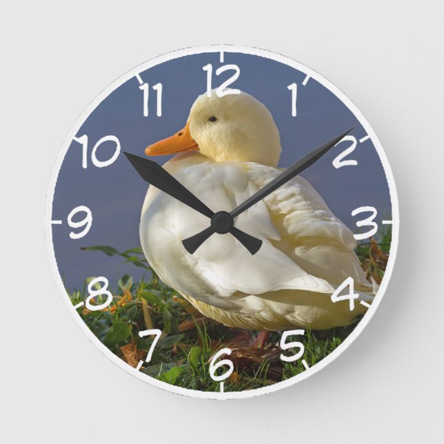 Horloge Ronde Petit canard blanc (Recto)