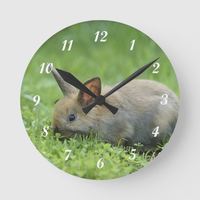 Horloge Ronde Petit Gray (Recto)