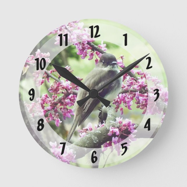 Horloge Ronde Phoebe dans un arbre à Redbud (Recto)