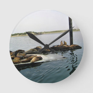 Horloge Ronde Phoques du port, Morro Bay, Californie