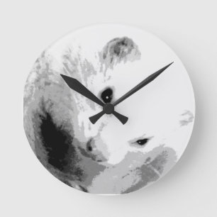 Horloge Ronde Photo Albino Ferret