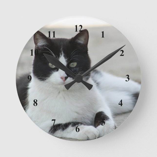 Horloge Ronde Photo de chat noir et blanc Tuxedo (Recto)