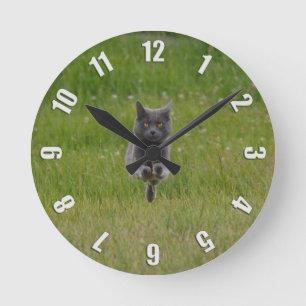 Horloge Ronde Photo de Cute Grey Farm Cat Racing Across Green Gr
