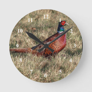 Horloge Ronde Photo de faisan