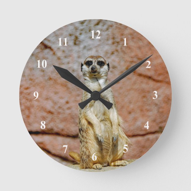 Horloge Ronde Photo de la faune de Meerkat (Recto)