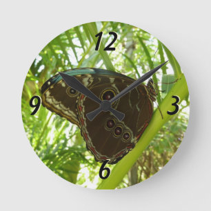 Horloge Ronde Photo de la nature du papillon bleu Morpho