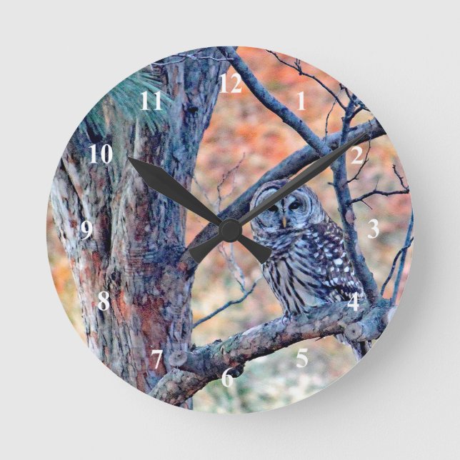Horloge Ronde Photo de Wildlife Barred Owl Tree (Recto)