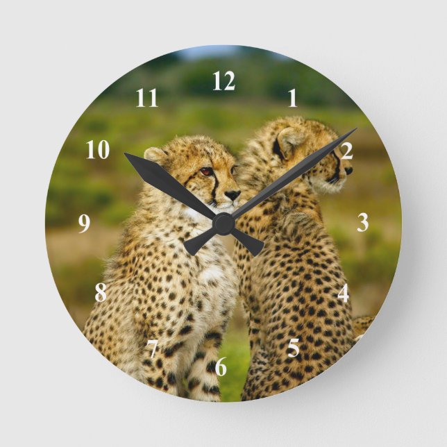 Horloge Ronde Photo de Wildlife Cheetah (Recto)