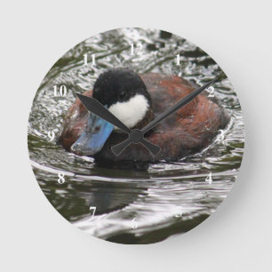 Horloge Ronde Photo de Wildlife Ruddy Duck
