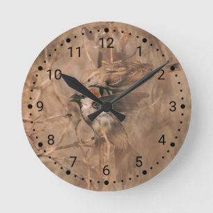Horloge Ronde Photo d'oiseaux moineaux domestiques faune foresti