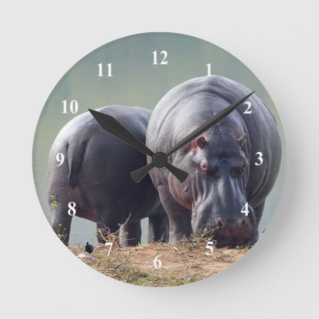 Horloge Ronde Photo Hippo Faune (Recto)