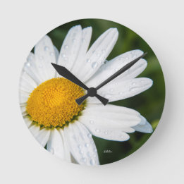 Horloge Ronde photo, une margueritte, font vert