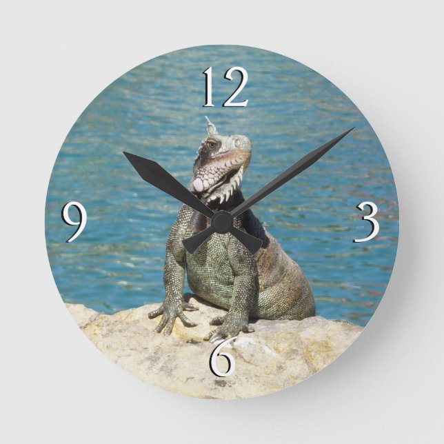 Horloge Ronde Photographie de la faune tropicale Iguana à St. Th (Recto)
