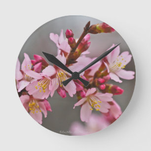Horloge Ronde Pink Against A Gray Sky Japanese Cherry Blossoms