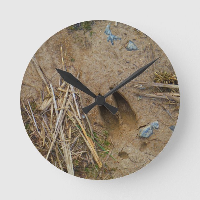 Horloge Ronde piste de cerfs (Recto)