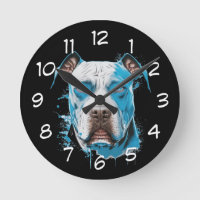 Pitbulbe blanc aux yeux bleus