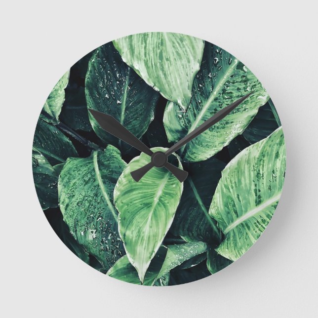 Horloge Ronde Plante Imprimer Groen Kunst Green Art (Recto)