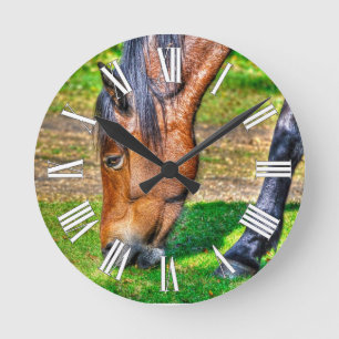 Horloge Ronde Pony Pony Equine Photo Amateurs de chevaux