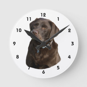 Horloge Ronde Portrait de photo de chien de Labrador de chocolat