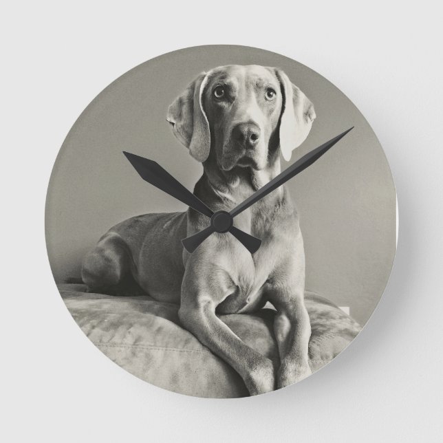 Horloge Ronde Portrait Weimaraner (Recto)