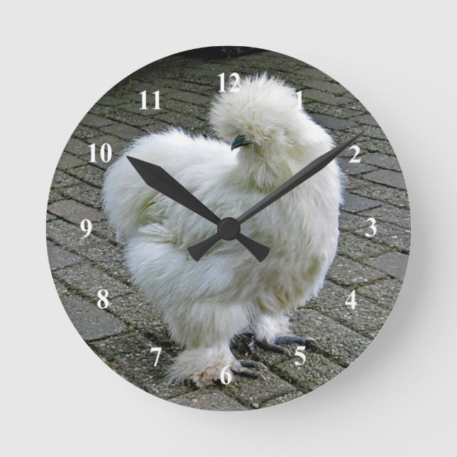 Horloge Ronde Poulet blanc Silkie Photo (Recto)