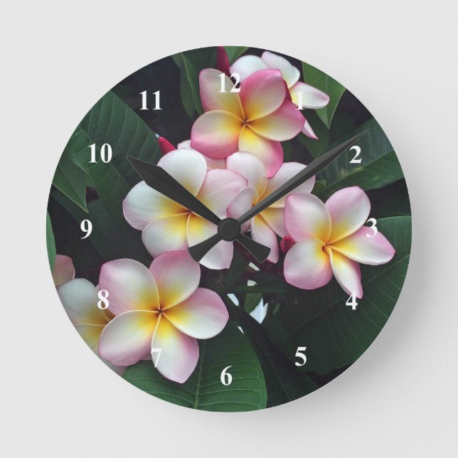 Horloge Ronde Pretty Pink et Yellow Plumeria Floral Photo (Recto)